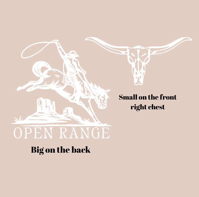 Vinyl T-Shirt w/ Dessert Cowboy w/ Bull