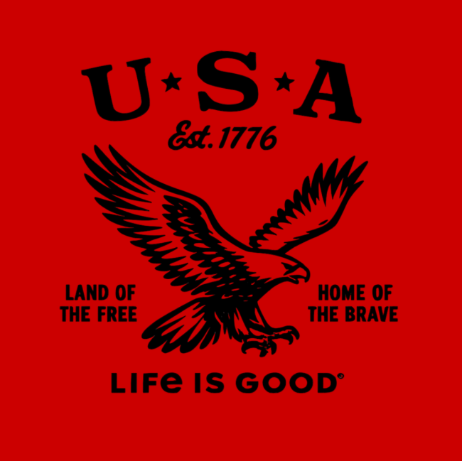 Vinyl T-Shirt w/ USA Life is Good, Choose your shirt and vinyl color!