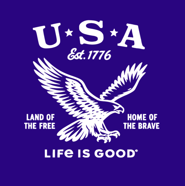 Vinyl T-Shirt w/ USA Life is Good, Choose your shirt and vinyl color!